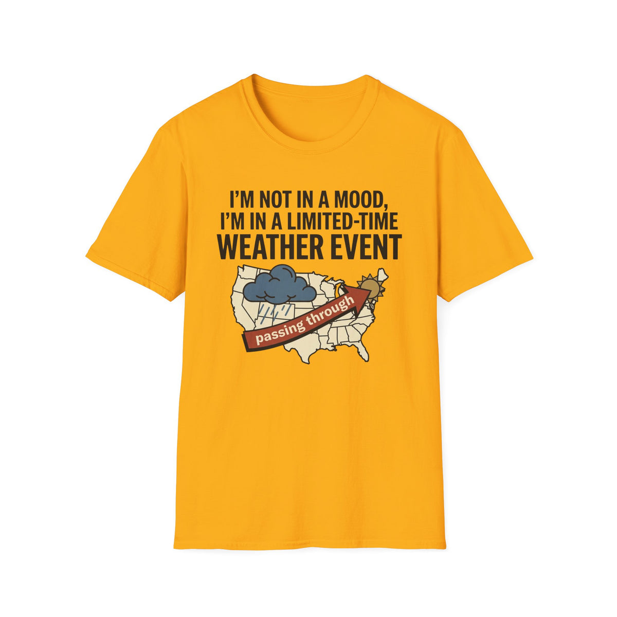 I'm Not in a Mood, I'm in a Limited-Time Weather Event T-Shirt